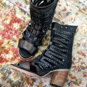 LOTUS FREEBIRD BY STEVEN